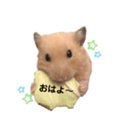 きんきんきんちゃん（個別スタンプ：9）