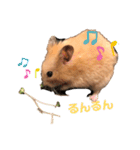 きんきんきんちゃん（個別スタンプ：14）