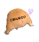 きんきんきんちゃん（個別スタンプ：18）