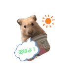 きんきんきんちゃん（個別スタンプ：21）