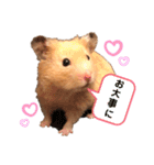 きんきんきんちゃん（個別スタンプ：23）
