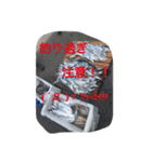 team 1091 武竜丸 ボート釣りスタンプ！（個別スタンプ：18）