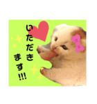 子にゃんこスタンプ♪（個別スタンプ：3）