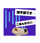 子にゃんこスタンプ♪（個別スタンプ：6）
