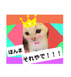 子にゃんこスタンプ♪（個別スタンプ：7）