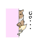 チベ先輩とフェネ後輩（個別スタンプ：4）