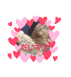 だいすきちくわ（個別スタンプ：5）