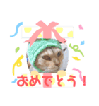 だいすきちくわ（個別スタンプ：7）