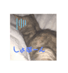 だいすきちくわ（個別スタンプ：8）