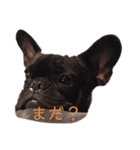 フレブルROY stamp（個別スタンプ：5）