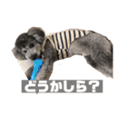 ぽみるる（個別スタンプ：2）