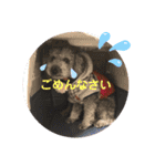 ぽみるる（個別スタンプ：10）