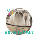 いつものほたてくん（個別スタンプ：20）