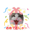 いつものほたてくん（個別スタンプ：39）