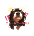 Jayna＆Ryan（個別スタンプ：14）