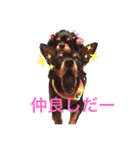 Jayna＆Ryan（個別スタンプ：18）