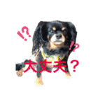 Jayna＆Ryan（個別スタンプ：24）