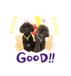 黒プーのモノノア（個別スタンプ：6）