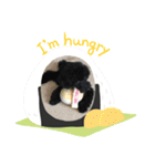 黒プーのモノノア（個別スタンプ：13）