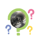 黒プーのモノノア（個別スタンプ：14）