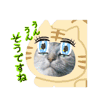 雑種の猫による宴～野球観戦編～（個別スタンプ：3）