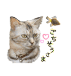 雑種の猫による宴～野球観戦編～（個別スタンプ：8）
