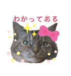 雑種の猫による宴～野球観戦編～（個別スタンプ：18）