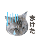 雑種の猫による宴～野球観戦編～（個別スタンプ：25）