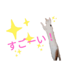 親子猫のおはぎとたまちゃん（個別スタンプ：2）