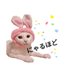 親子猫のおはぎとたまちゃん（個別スタンプ：6）