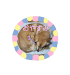 サンスタ1（個別スタンプ：2）