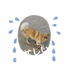 サンスタ1（個別スタンプ：5）