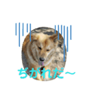 サンスタ1（個別スタンプ：6）