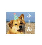 サンスタ1（個別スタンプ：7）