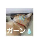 サンスタ1（個別スタンプ：11）