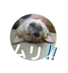 サンスタ1（個別スタンプ：12）