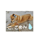 サンスタ1（個別スタンプ：13）