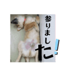 サンスタ1（個別スタンプ：15）