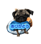 Suuちゃん（個別スタンプ：13）