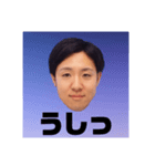 街のぽっぽさん ②（個別スタンプ：6）