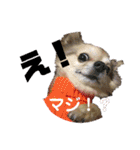 のりおとぽんた（個別スタンプ：10）