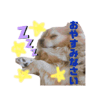 のりおとぽんた（個別スタンプ：18）