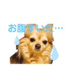 のりおとぽんた（個別スタンプ：20）