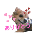 のりおとぽんた（個別スタンプ：32）