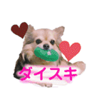 のりおとぽんた（個別スタンプ：34）