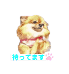 可愛い タヌちゃんのスタンプ 2（個別スタンプ：21）