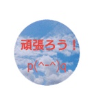 空を背景にあいさつ（個別スタンプ：16）