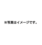 ユニークでシュールなスタンプ3（個別スタンプ：31）