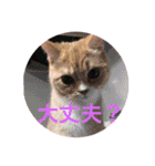 ゆめちゃんスタンプ3❤（個別スタンプ：8）