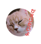 ゆめちゃんスタンプ3❤（個別スタンプ：10）